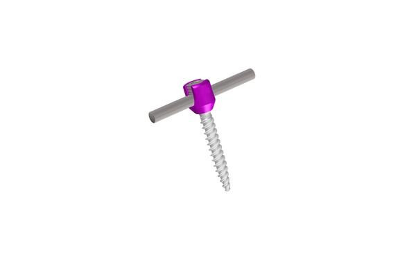 DORSO-LUMBER POLYAXIAL SCREW - HA COATED	